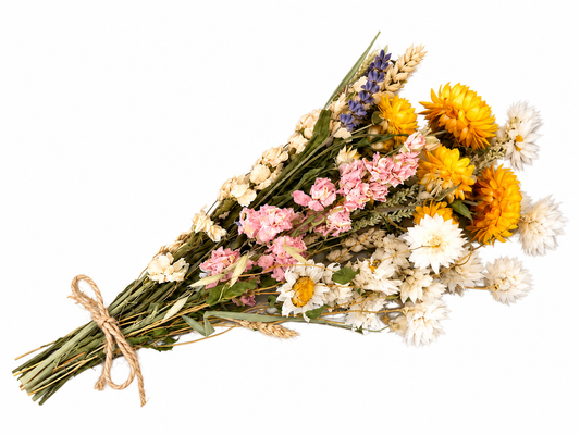 Letterbox Dried Flowers - British Wildflower