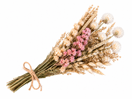 Letterbox Dried Flowers - Country Meadow